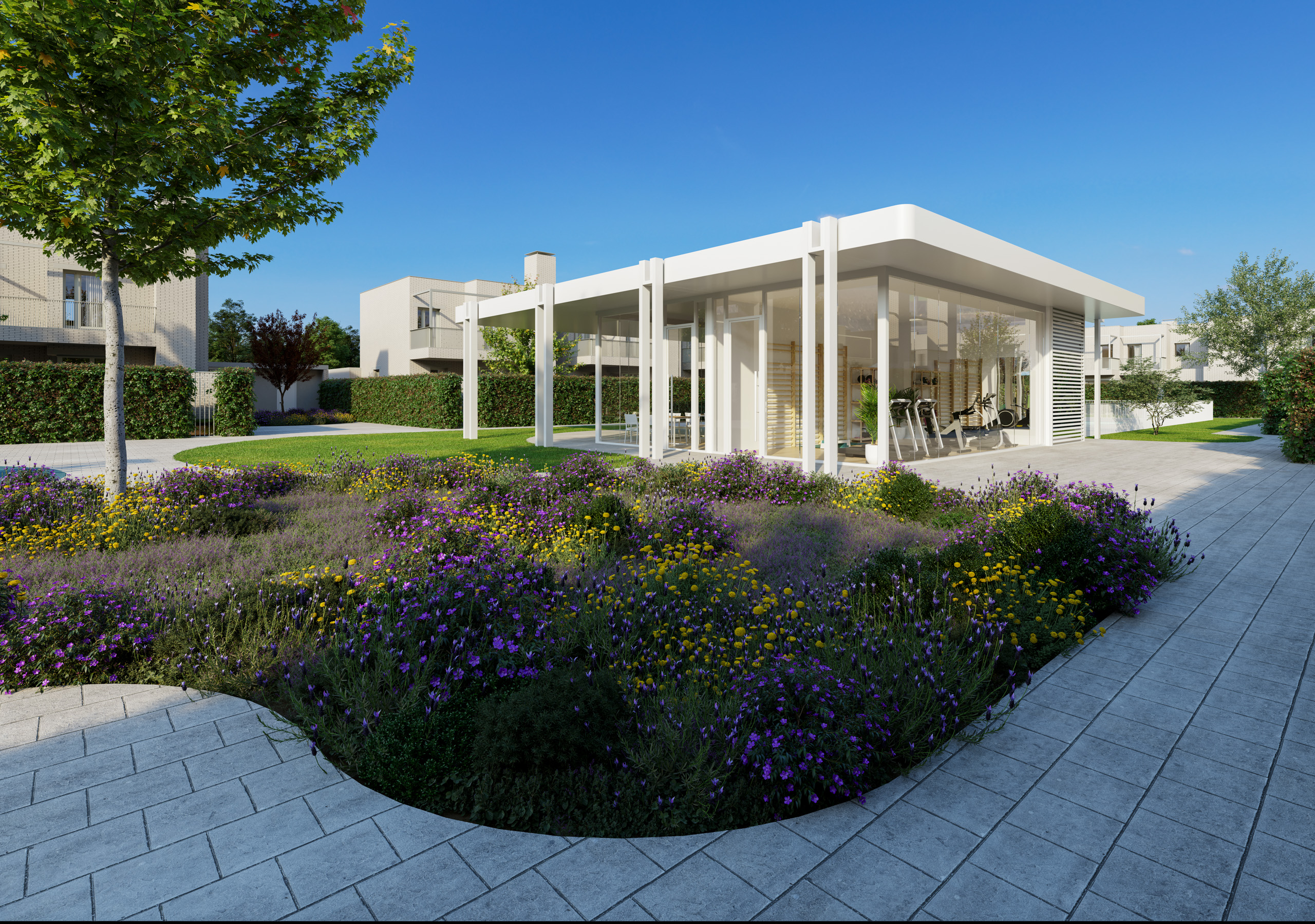 Calle pomelo NP, Valladolid, Valladolid 47008, 4 Habitaciones Habitaciones, 0 ,3 BathroomsBathrooms,Vivienda,En venta,Silene,Calle pomelo,0,1054